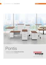 Pontis-1