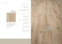 Alter 2024.11-7