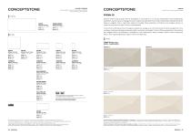ConceptStone 2026.09-10