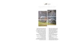 Ego 2025.09-2