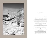 Portland Stone 2026.02-2