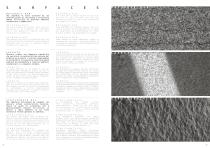 Stone Project 2026.02-4