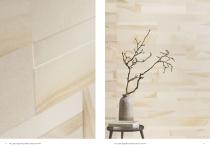 Varana Stone 2025.08-6