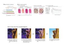 Catalogue-5