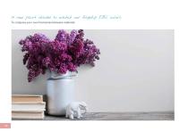 THE COLOUR CHART-42