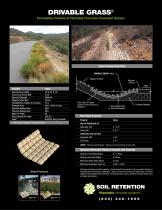 DRIVABLE GRASS® for Erosion Control and Drainage Swales-2