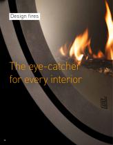 Dik Geurts wood burning fires and stoves EN-12