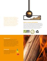 Dik Geurts wood burning fires and stoves EN-5