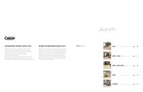 Aurum-2