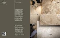 Aurum-4