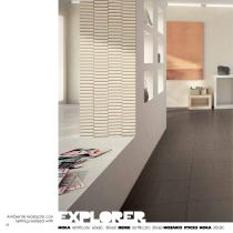 Explorer-18
