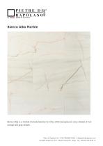 Bianco Alba Marble - 1