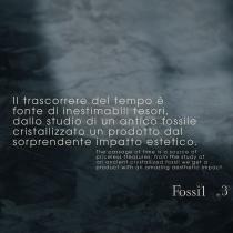 Fossil - 3