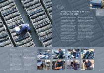 Slate-8