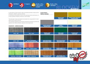 DFM brochure - 1