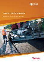 Asphalt Reinforcement - 1