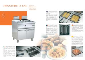 Cooking   700 mm depth   Gas and electric fryers - 3