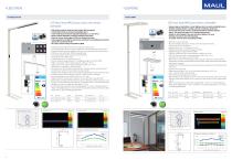 NOVELTIES LAMPS 2021-4
