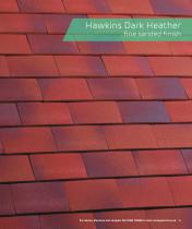 Clay Plain Tiles - 19