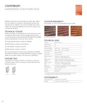 CLAY PLAIN TILES - 10