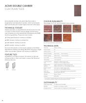 CLAY PLAIN TILES - 22