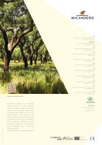 Wicanders-Corkcomfort-Novel-Symmetries-7