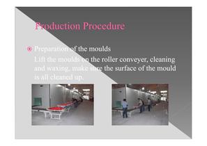 company presentation-11
