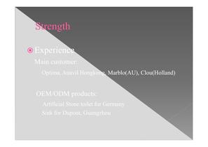 company presentation-24