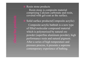 company presentation-5