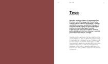 Teso-2