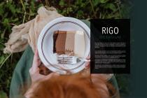 Rigo - 11