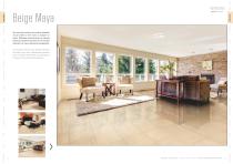 VENATTO POLISHED-9