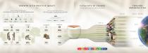 Nespresso Infographic - The Positive Cup - 2