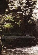 Tender Rain Catalogue-6