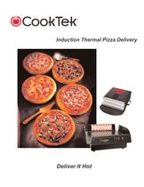 Induction Thermal Pizza Delivery - 1