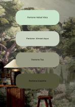 Murals Inspiration-5