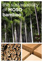 the sustainability of MOSO bamboo - 1