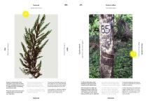 Catalogue COCO-MAT _EN-SP-IT-12