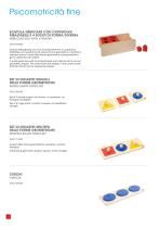 MONTESSORI MATERIAL FOR DISABILITIES-12