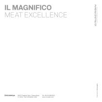 IL MAGNIFICO - 8