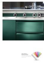 Induction Cooking Suites-12