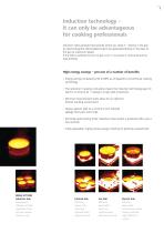 Induction Cooking Suites-5
