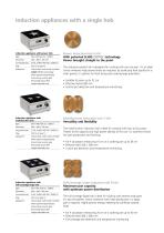 Induction Cooking Suites Appliances and Griddle Plates-10