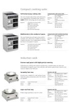 Induction Cooking Suites Appliances and Griddle Plates-12