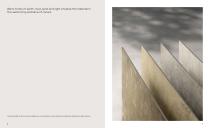 stone vision-6