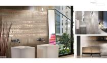 Concrete Evolution-4