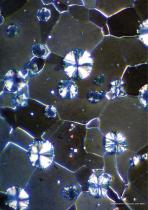 HYDROCLASS-22