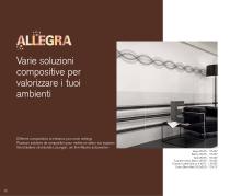 ALLEGRA-24