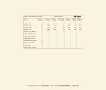 BETON-19
