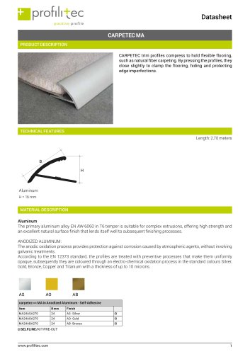 Carpetec MA